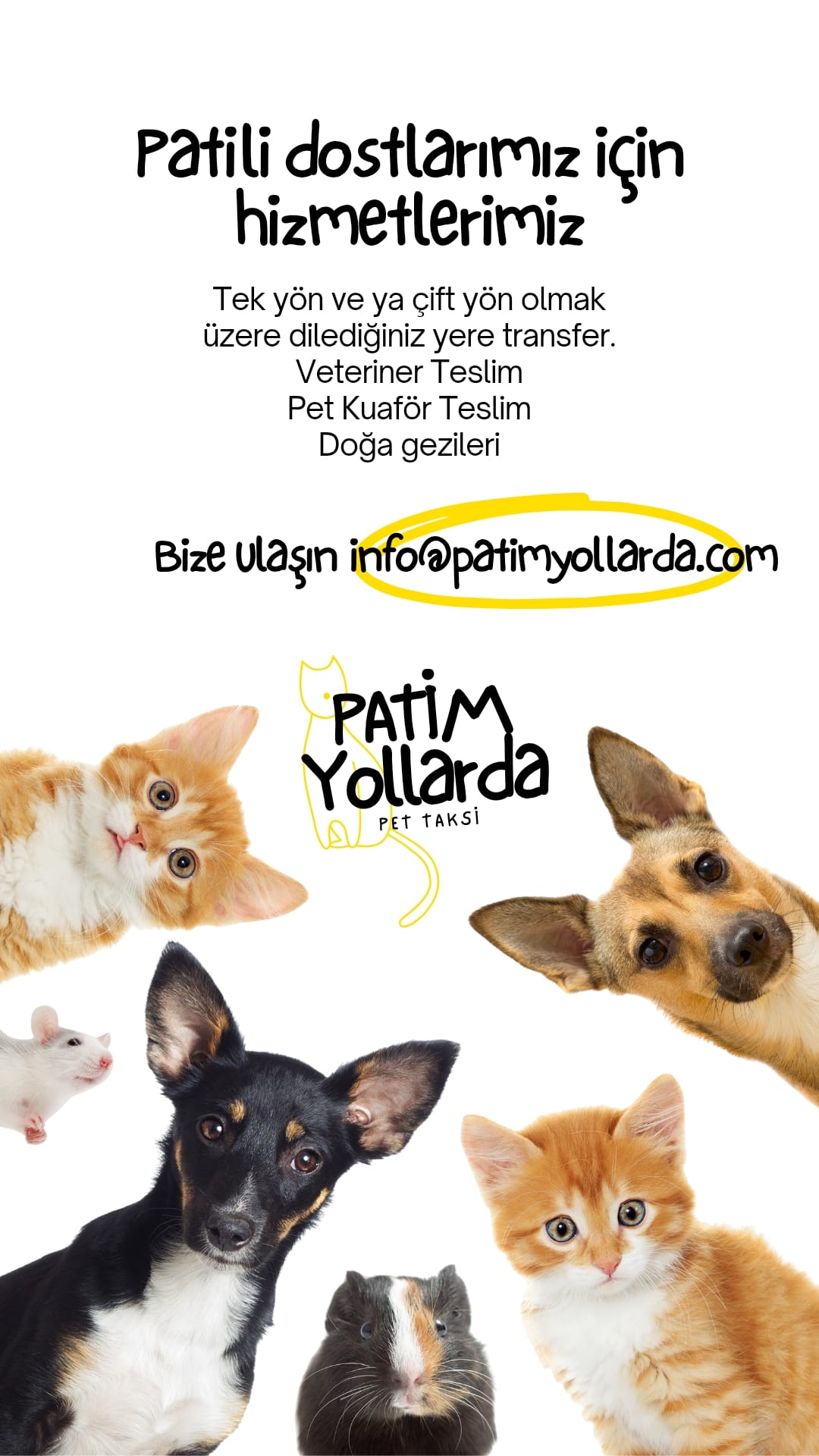 Patim Yollarda Pet Taksi